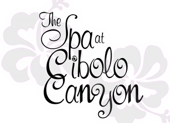 Satin Smoothie Spa Package